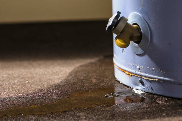 Best Carpet water damage restoration  in Elk Plain, WA