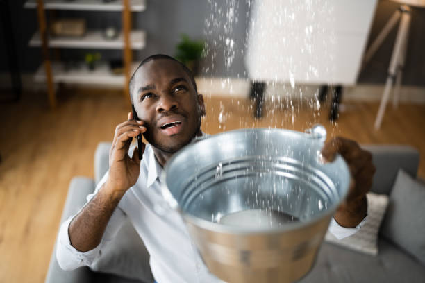 Best Flood restoration services  in Elk Plain, WA