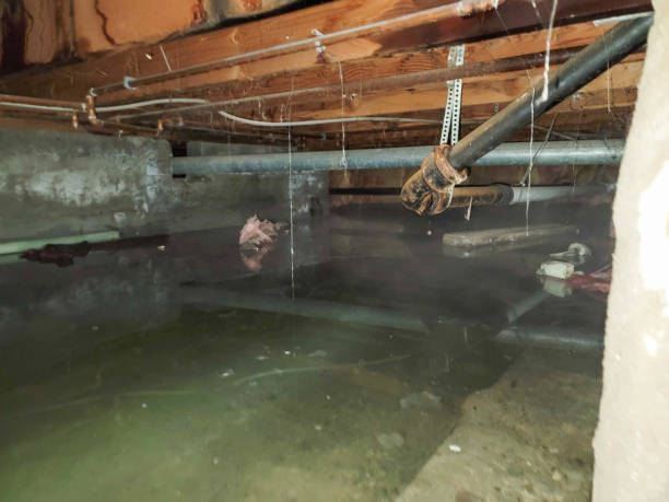Best Commercial water damage restoration  in Elk Plain, WA