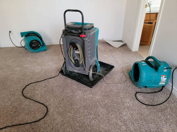 Best 24/7 water damage repair  in Elk Plain, WA