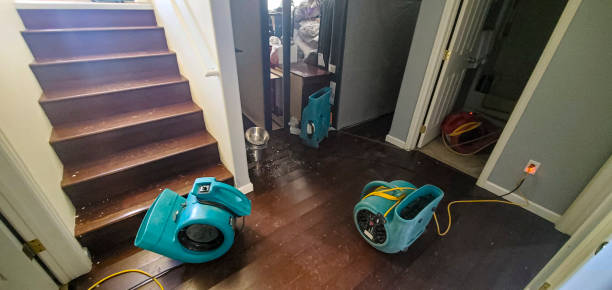Best Sewage cleanup and water damage restoration  in Elk Plain, WA