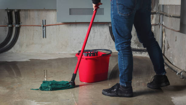 Best Emergency water extraction  in Elk Plain, WA