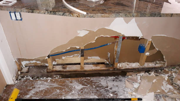 Best Mold removal after water damage  in Elk Plain, WA