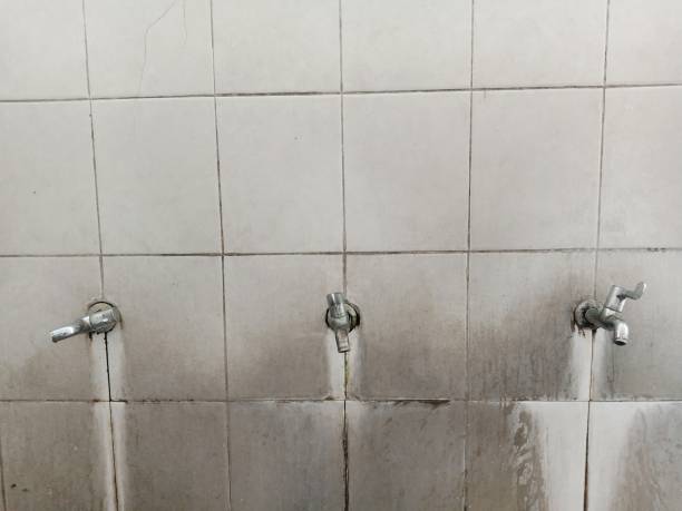 Water damage restoration insurance claims in Elk Plain, WA