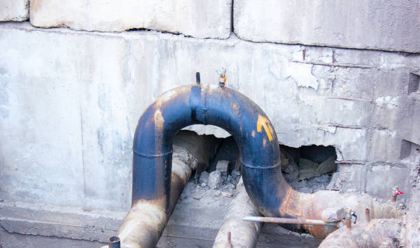 Best Water damage cleanup near me  in Elk Plain, WA