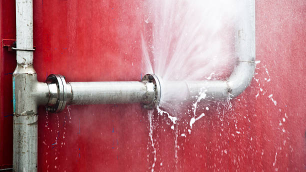 Best Flooded house restoration  in Elk Plain, WA