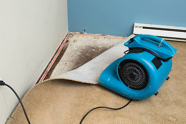 Elk Plain, WA Water damage restoration Company